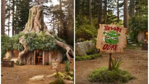 PICTURES: Fancy staying in Shrek's Swamp - here's your chance!