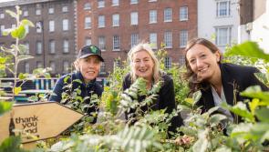 Kilkenny organisation to receive €5,000 from Coca-Cola Thank You Fund