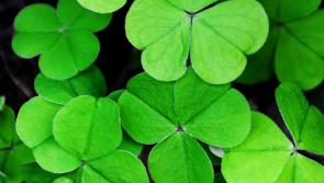 A talk on 'Irishness' comes to Co Kilkenny this Friday