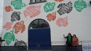 'Wayfinder' mural brings a splash of colour to Callan