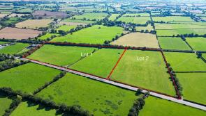 Prime parcel of land going to auction soon in Kilkenny