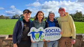 ‘Ordinary and extraordinary’ - Kilkenny family farm showcases Social Farming  