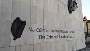 Woman admits 'laundering' more than &euro;100,000 in crime cash at her home