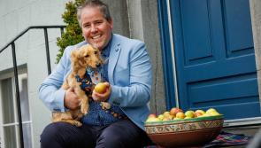 Madra Monday returns for Savour Kilkenny 2023