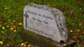 Trailblazing historical survey to be conducted in Kilkenny