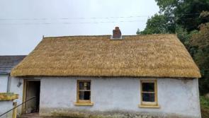 Many projects benefitting from conservation grants in Kilkenny