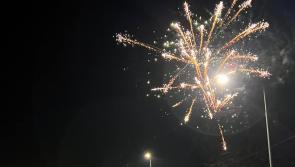 Volunteers needed for Kilkenny festival 