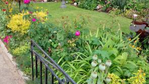 Pictures: Kilkenny's Best Private Gardens and Best Estate winners at KKB Awards