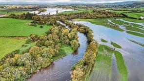 Farmers battling flood waters across Kilkenny 