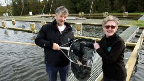 Goatsbridge Trout Farm to scale up production after €1.68 million investment