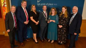 Kilkenny village claims 'Pride of Place' award