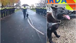 WATCH: Gardaí give retiring service dog Laser emotional guard of honour
