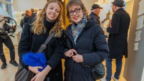 Design & Crafts Council brings two major exhibitions to Kilkenny