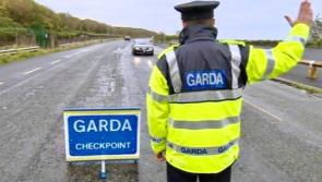 Kilkenny gardaí out in force on National Slow Down Day