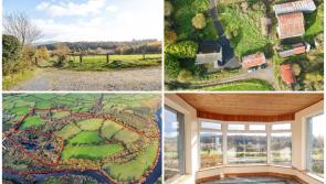 This country home set amidst 35 hectares of land going to auction soon in Kilkenny