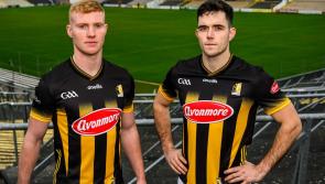 One for Santa Claws! Cats unveil new Kilkenny jersey in time for Christmas