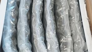 Over &euro;650k of cannabis seized by garda&iacute;, woman arrested