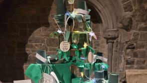 Kilkenny Christmas tree festival finishes today!