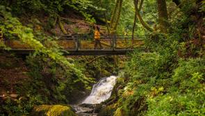 Walking trails open daily at Woodstock in Kilkenny this festive season