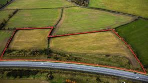 Prime parcel of land for sale in incredible Kilkenny location