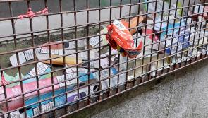 Editorial: Vaping-related litter poses new litter challenge for Kilkenny
