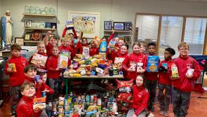 Kilkenny kids donate Christmas hampers to local St Vincent de Paul