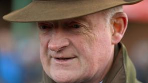 Free entry to see rescheduled race with Kilkenny champion trainer Willie Mullins
