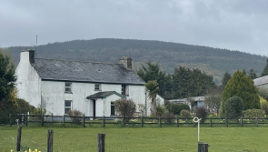 'Another Dermot masterpiece' - Viewers react to Kilkenny house on new Room to Improve