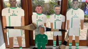 PICS: All-Ireland Final fever begins for O'Loughlin Gaels - Kilkenny Live