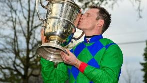 Gowran gets ready for pinnacle of National Hunt Racing - the Goffs Thyestes Chase