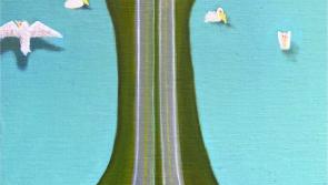 Stunning exhibition by US artist opens in Kilkenny