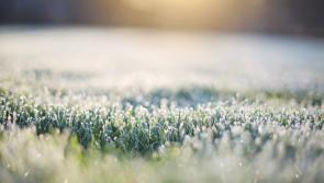 WEATHER: Frosty start across the country with air temperatures of -3 to +2°C