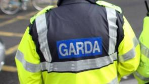 Gardaí renew appeal for witnesses in fatal Carlow car crash