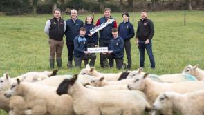 Kildalton College to host Agri Aware  Farm Walk and Talk events 