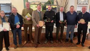 Knowledge transfer group open to Kilkenny forestry growers