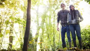 Coillte launches new scholarship programme - open to Kilkenny students