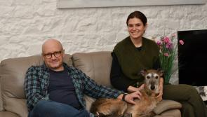 Film stars urge people to back PAWS - Kilkenny Live