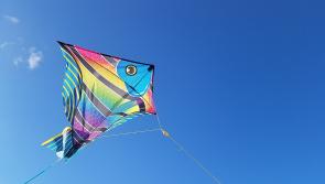 Kilkenny Palestine rally and kite-flying event to take place on Sunday