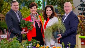 Amateur community gardening groups in Kilkenny encouraged to showcase at Bord Bia Bloom