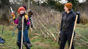 Kilkenny people are invited to learn traditional hedge laying skills on new course