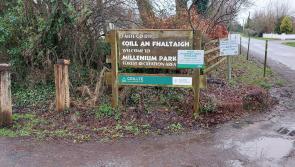 Works at a well-known Kilkenny walkway get the green light 
