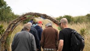 Kilkenny monument chosen to take part in national scheme