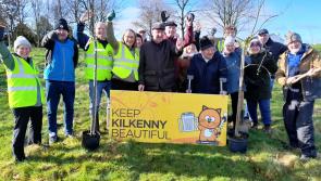 Keep Kilkenny Beautiful celebrate Tree Week