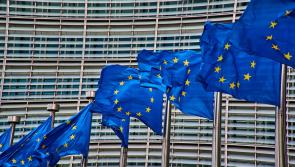 Kilkenny MEP calls for Valerie's Law in Ireland