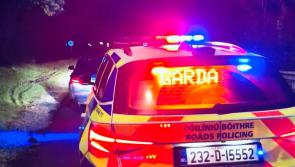 Car seized for driver who 'forgot' to renew insurance since last September