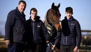 Kilkenny's Shark Hanlon makes decision not to run Hewick in Cheltenham Gold Cup
