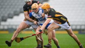 Kilkenny work hard to see off Waterford challenge
