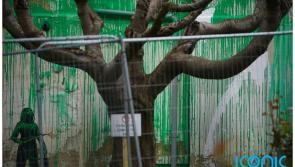 New Banksy mural defaced in London