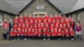 Kilkenny primary school helps development of new primary school curriculum 