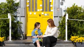 New Front Door project gives hope in a housing crisis - Kilkenny Live